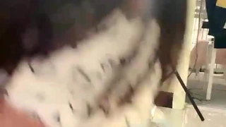 二零二三七月三号_猫贪余温2