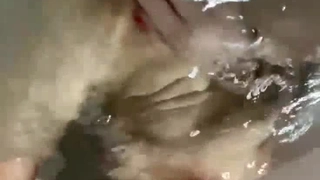 62hhh